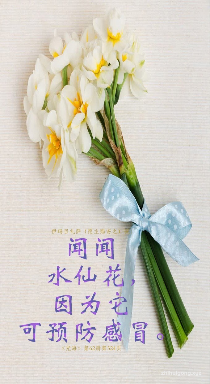 闻闻水仙花，因为它可预防感冒