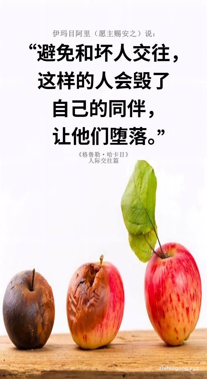 避免和坏人交往，这样的人会毁了自己的同伴，让他们堕落