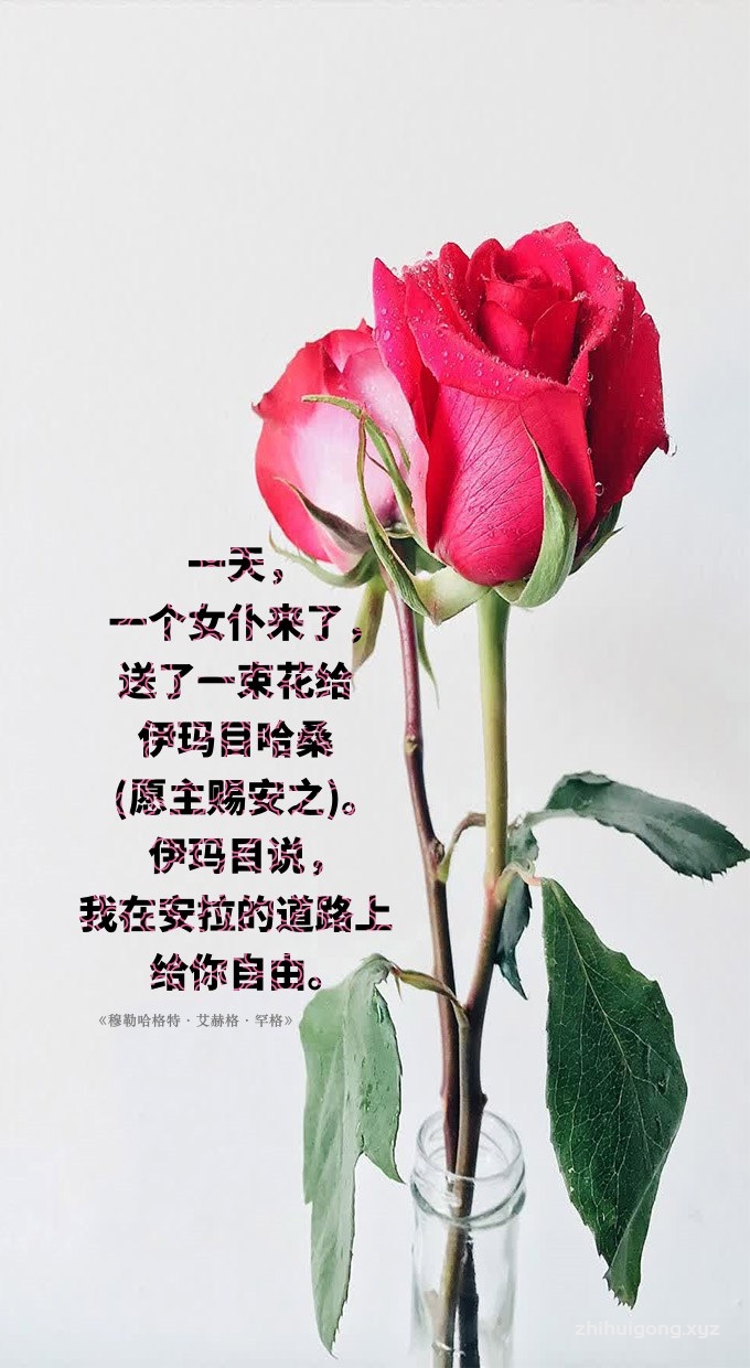 一天，一个女仆来了，给伊玛目哈桑(愿主赐安之)送了一束花，伊玛目说，我在安拉的道路上给了你自由。