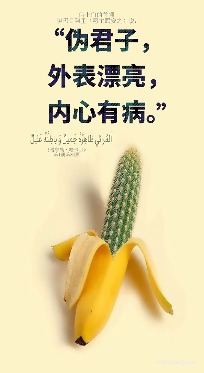 伪君子，外表漂亮，内心有病。