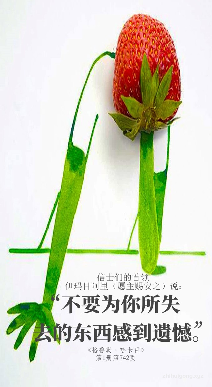 不要为你所失去的东西而感到遗憾