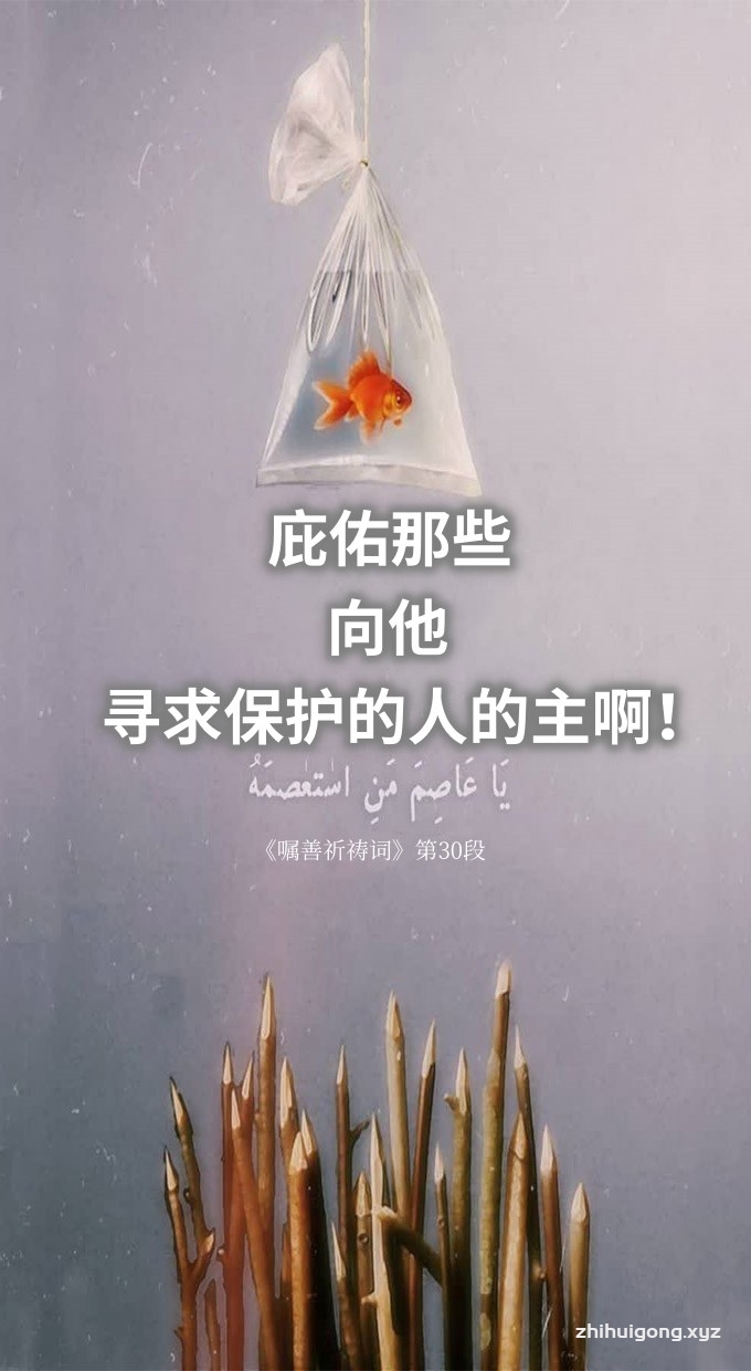 庇佑那些向他寻求保护的人的主啊！