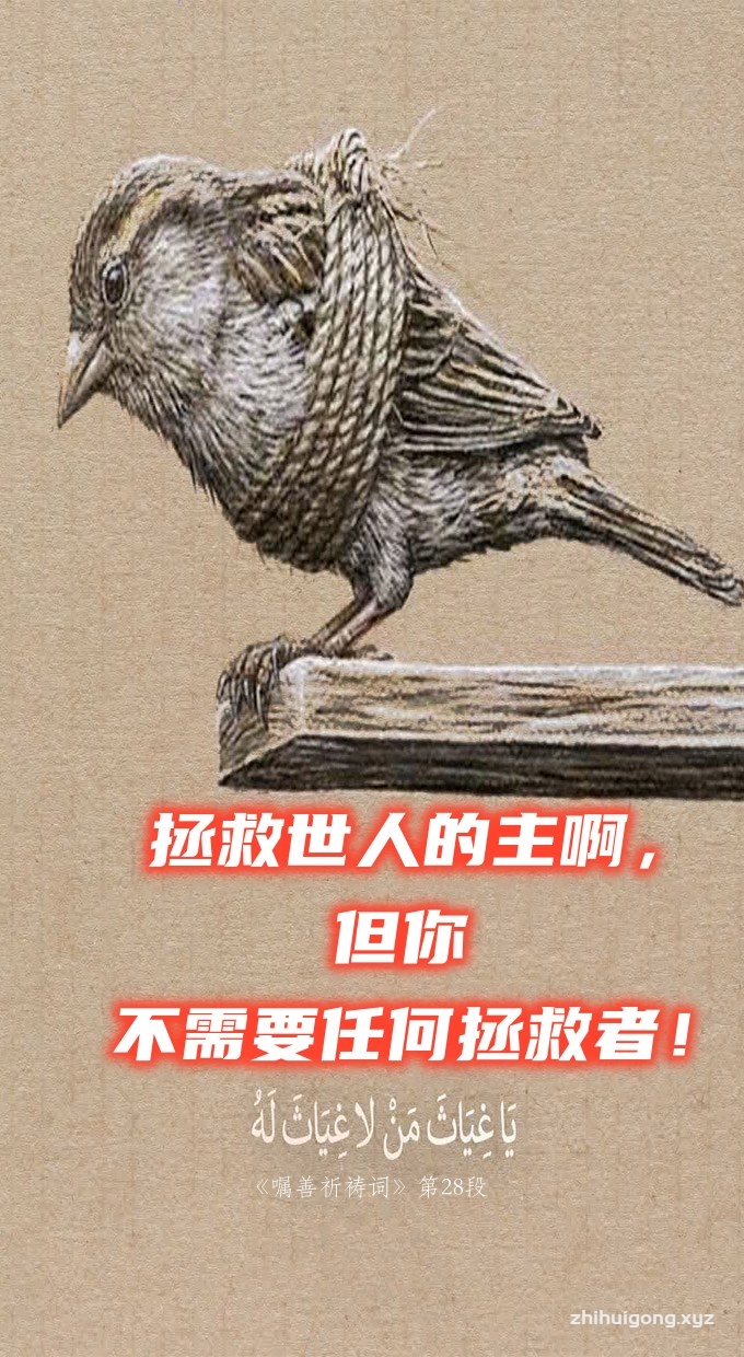 拯救他人的主啊但你不需要任何拯救者