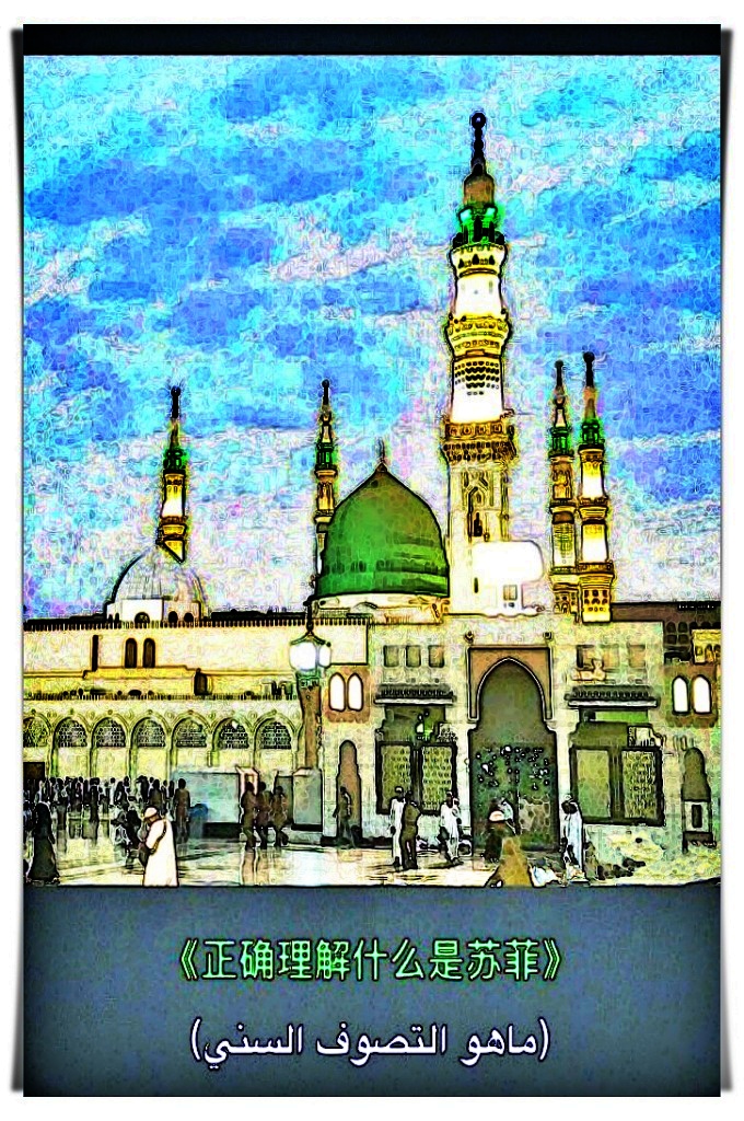 正确认识苏菲简介   多少人在自称是苏菲，  其实他们离苏菲很远。对于苏菲我们发现两种人走向误区，甚至进入极端。