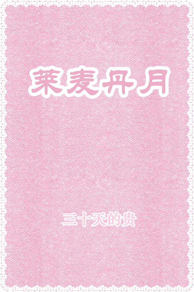 《莱麦丹月》三十天的贵   此书是解明斋月三十天的贵。