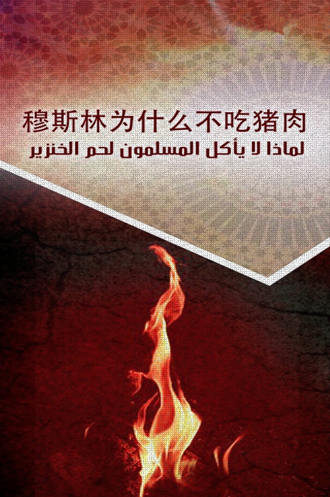 《穆斯林为什么不吃猪肉》   伊斯兰教为什么禁止吃猪肉呢？伊斯兰主张吃“佳美食物”，认为所食之物影晌人的性情。 这本书将为您揭晓答案