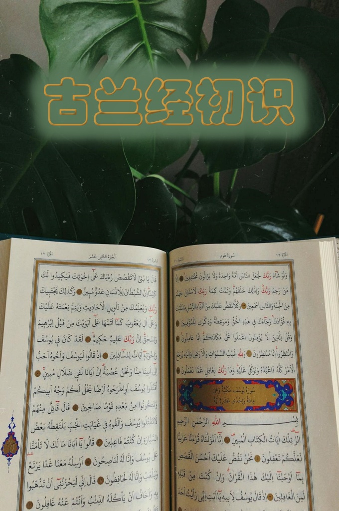 古兰经初识   作者以通俗易懂、适合众人的风格编写了这本书。读者 应在读古兰经章节之前先读这本书，然后读章节他会有不同 的感知。