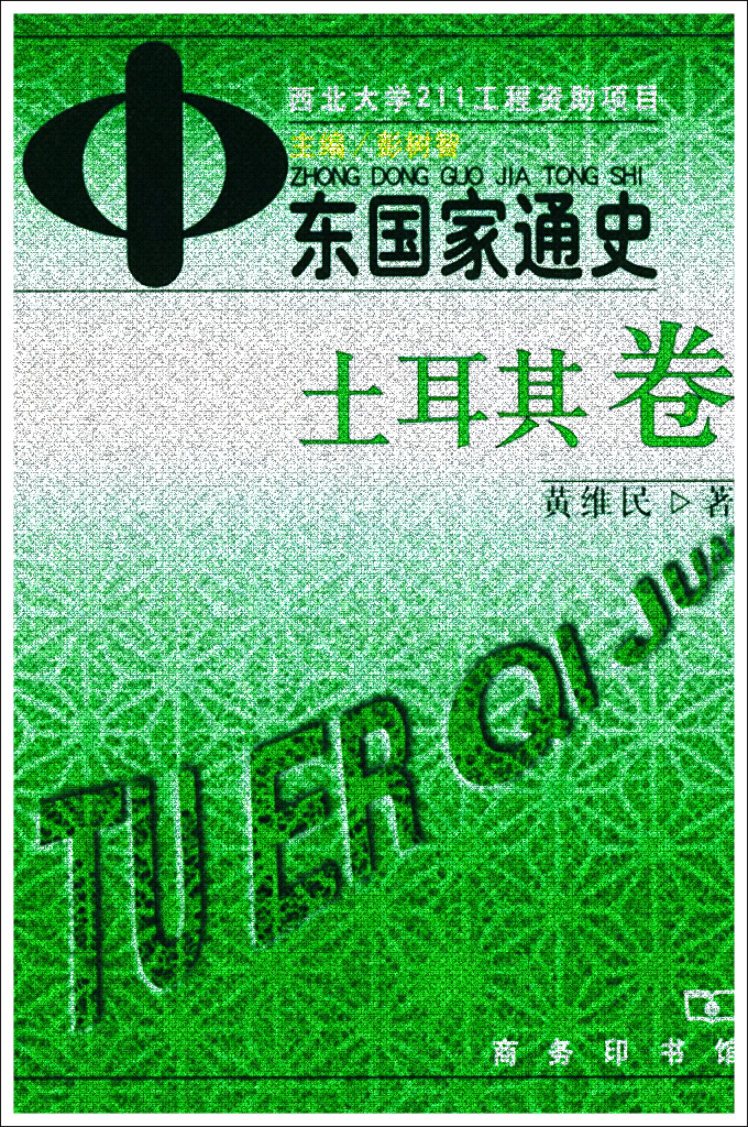 《中东国家通史：土耳其卷》┊黄维民   多卷本丛书《中东国家通史》系由西北大学211工程标志性成果，彭树智教授任主编。这是我国出版的第一部中东各国通史。它是一套包括13卷本的地区国别史，每卷由一个国家或国家群所组成。全书各卷依次为：《阿富汗卷》（彭树智、黄杨文）、《沙特阿拉伯卷》（王铁铮、林松业）、《以色列卷》（肖宪）、《巴勒斯坦卷》（杨辉）、《伊朗卷》（王新中、冀开运）、《土耳其卷》（黄维民）、《伊拉克卷》（黄民兴）、《叙利亚和黎巴嫩卷》（王新刚）、《埃及卷》（雷钰、苏瑞林）、《也门卷》（郭宝华）、《约旦卷》（王铁铮）、《塞浦路斯卷》（何志龙）、《海湾五国卷》（林松业）。每卷约25万字，全书共计300余万字。