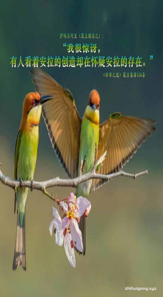 我很惊讶，有人看着安拉的创造却在怀疑安拉的存在