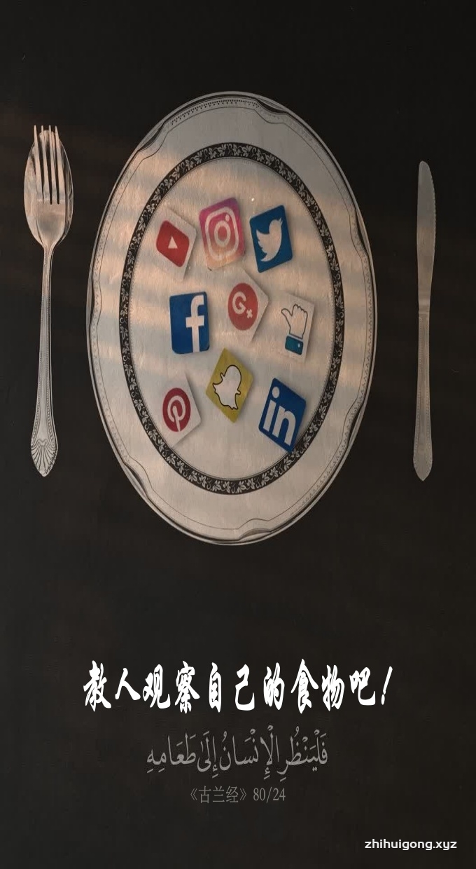 教人观察自己的食物吧！
