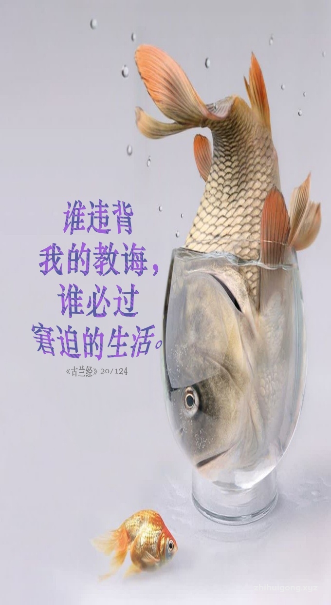 谁违背我的教诲，谁必过窘迫的生活