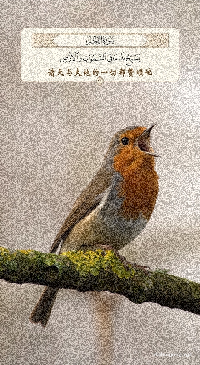 古兰经：诸天与大地的一切都赞颂他