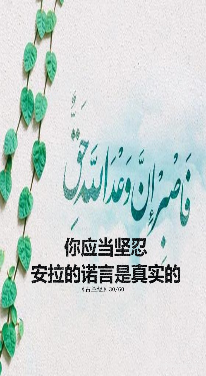 古兰经，你应当坚忍，安拉的诺言是真实的
