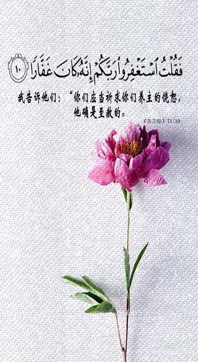 古兰经：我告诉他们：“你们应当祈求你们养主的饶恕，他确是至赦的。”