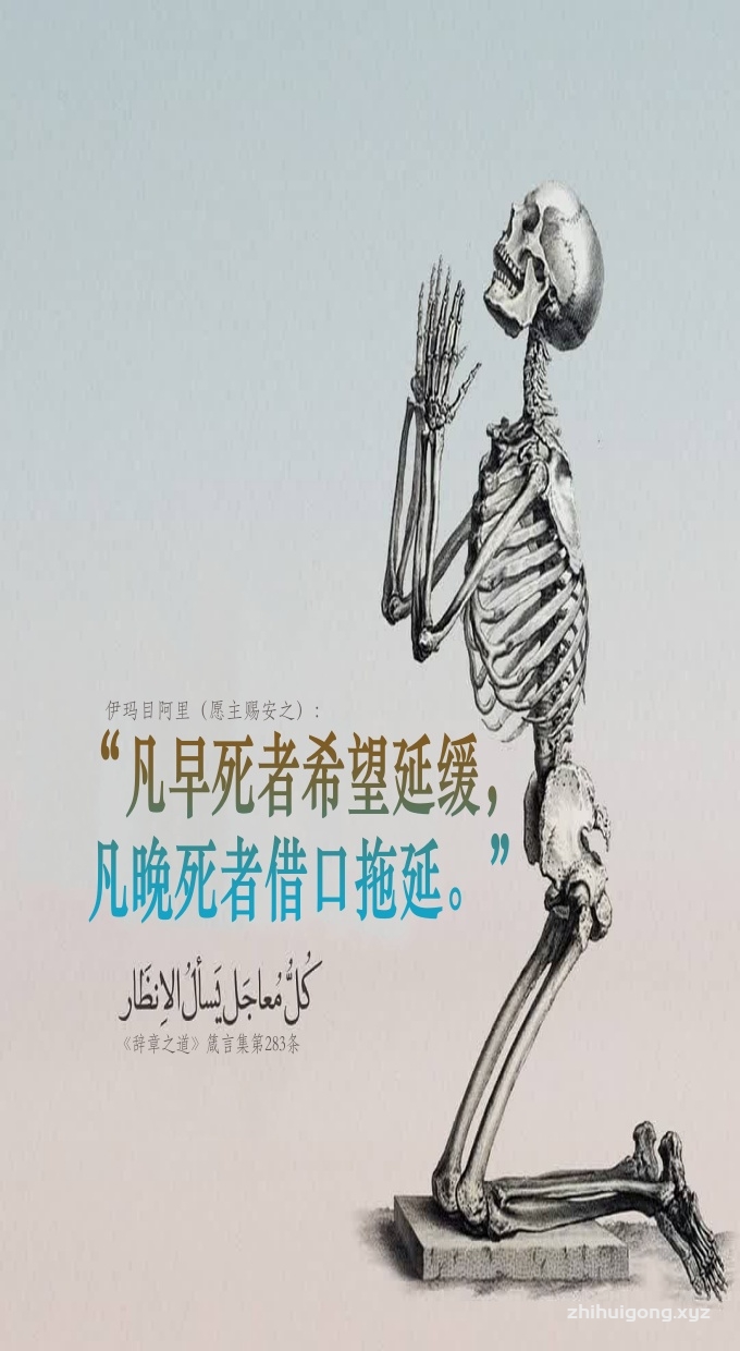 伊玛目阿里： “凡早死者希望延缓，凡晚死者借口拖延。”