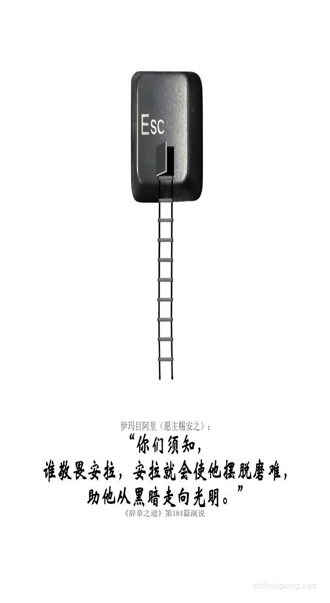 伊玛目阿里： “你们须知，谁敬畏安拉，安拉就会使他摆脱磨难，助他从黑暗走向光明。”