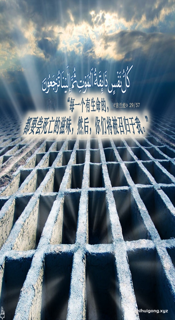 古兰经：“每一个有生命的，都要尝死亡的滋味，然后，你们将被召归于我。”
