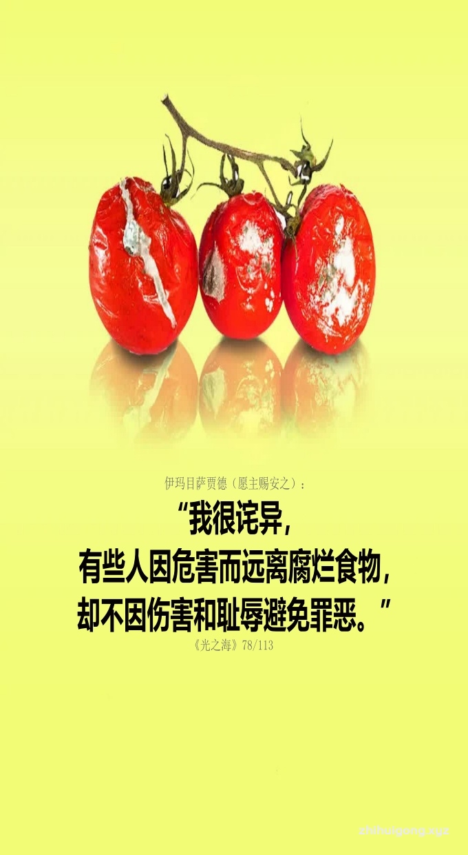 伊玛目萨贾德： “我很诧异，有些人因危害而远离腐烂食物，却不因伤害和耻辱避免罪恶。”