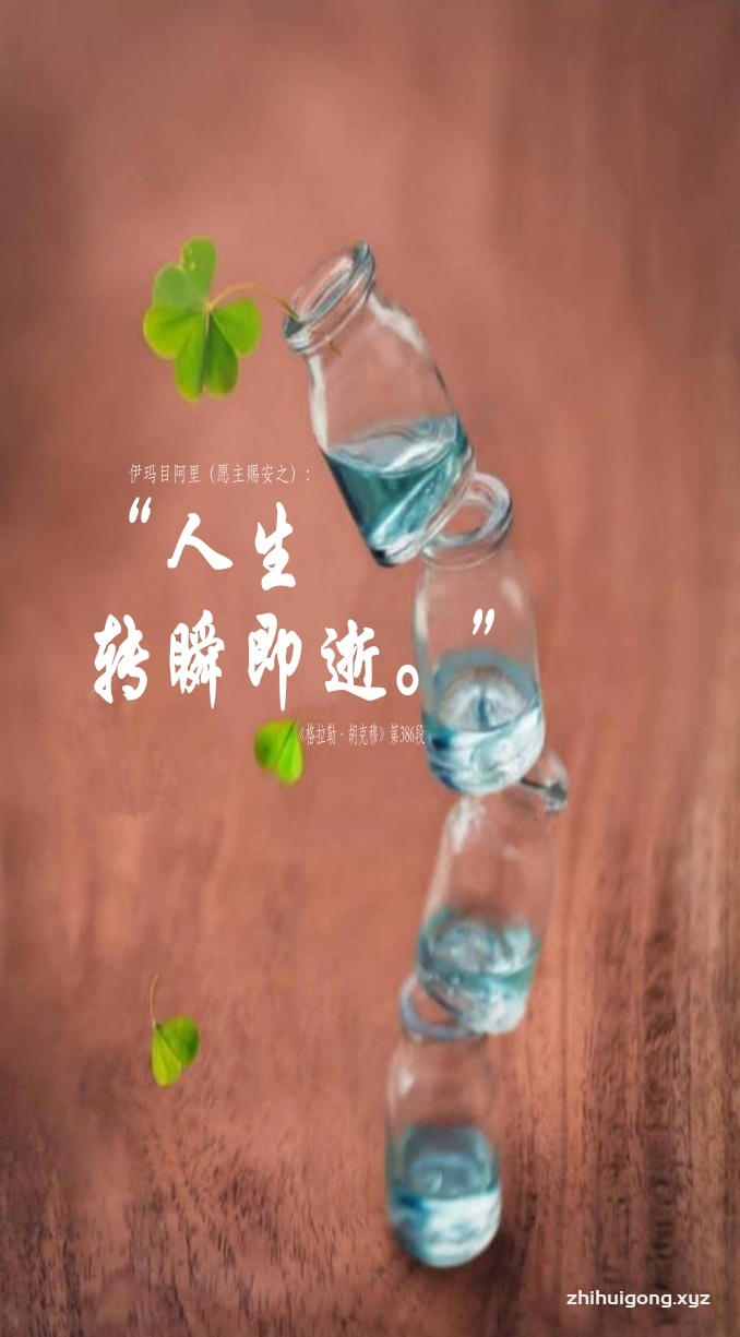 伊玛目阿里： “人生转瞬即逝。”