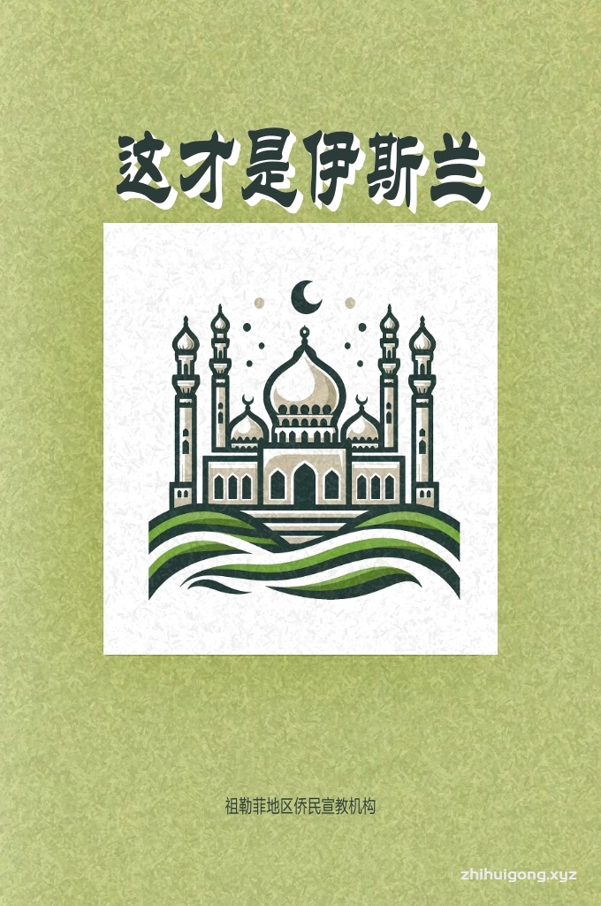 《这就是伊斯兰》 谁降下了我们赖以生存的雨水，使花草树木凭借 它而生长，又供人类和牲畜饮用，并使大地将其储存？  是谁设置了恰到好处的地球引力？若这引力加大 一点，物体就会难以移动；若减小一些，物体便会悬 浮在空中。  是谁创造了人类，并使人类处于最完美的形态？ 当人思考自身的时候，他会发现造物主的大能。