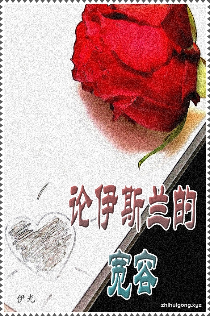 《论伊斯兰的宽容》   不宽容就没有和平。  今日世界上一切动乱和灾难是由于人民之间缺少宽容的结果﹐各种对抗和冲突﹐都是因为互相不宽容﹐例如种族矛盾﹐阶级斗争﹐政治对立﹐宗教歧视﹐文明冲突。